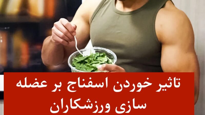 اسفناج برای عضله سازی